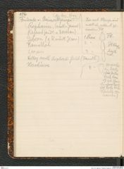 Seite 140, Tagebuch "Palästina (Tagebuch)" (NHMW-PRAE-BBB-80)